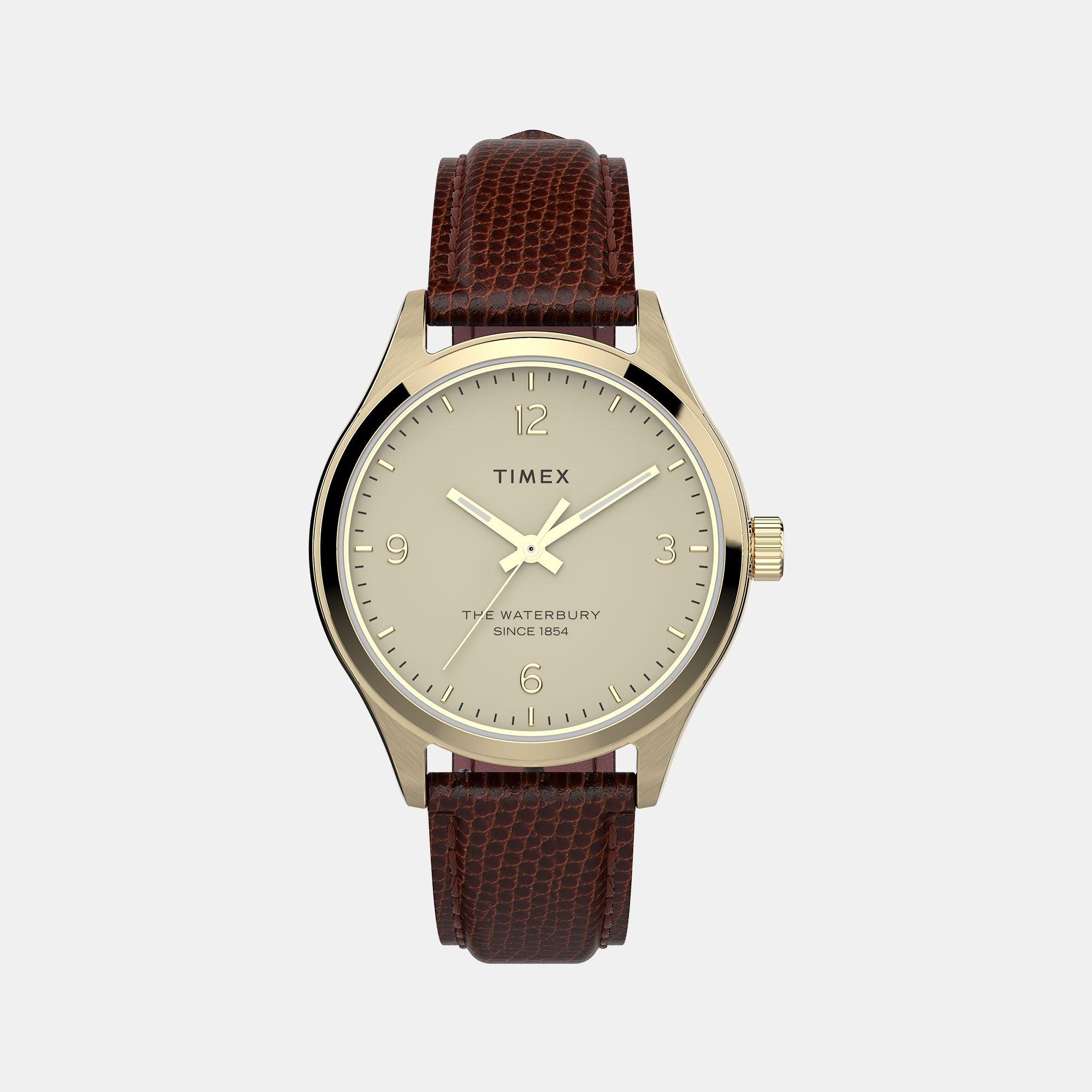 Timex Round  Analog watch