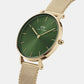 Petite Women's Green Analog Stainless Steel Watch DW00100480K