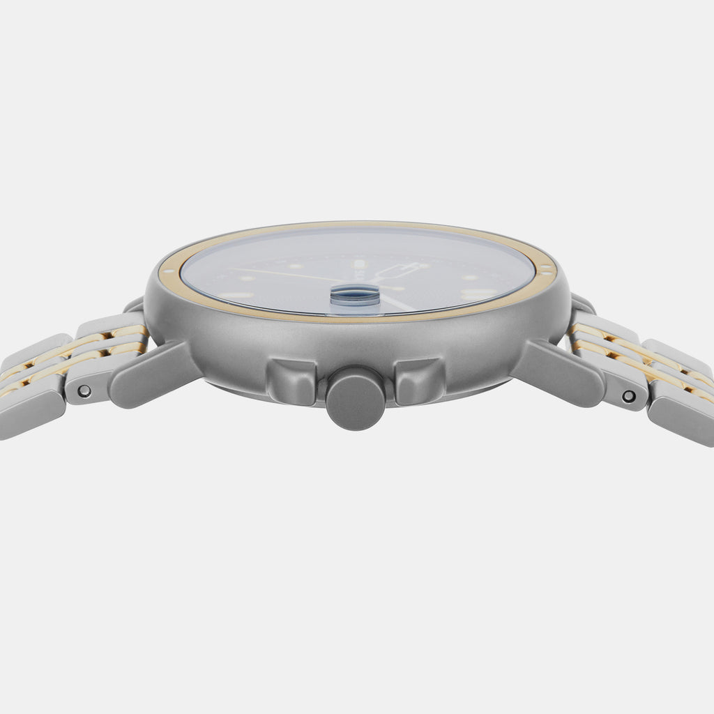 Skagen Stainless Steel Blue watch