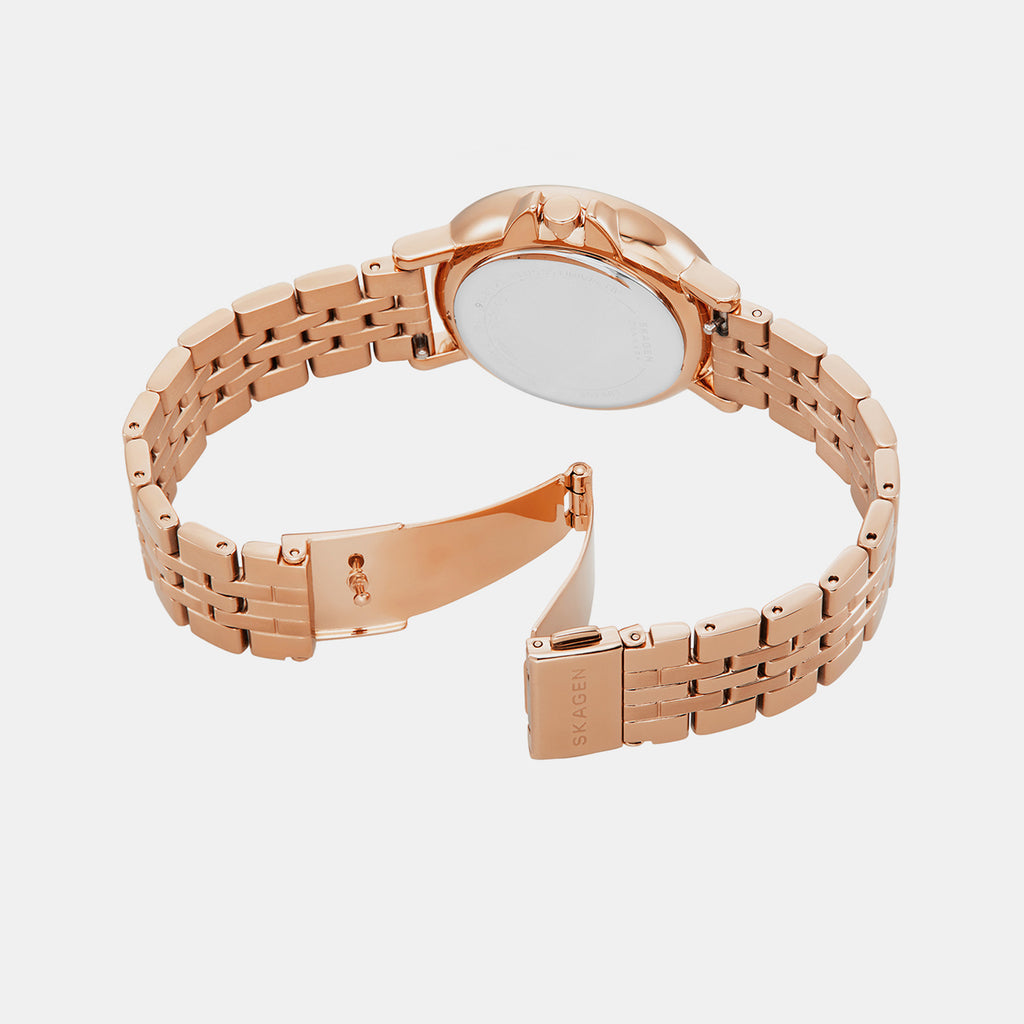 Skagen Stainless Steel Silver watch