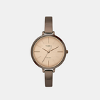 Timex Round Beige Analog watch