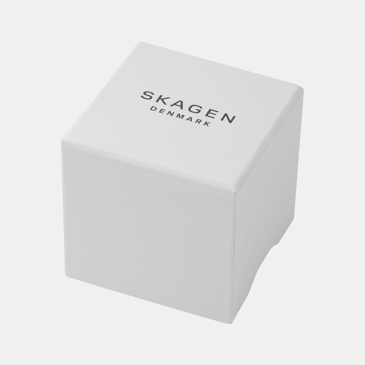 Skagen Stainless Steel Black watch
