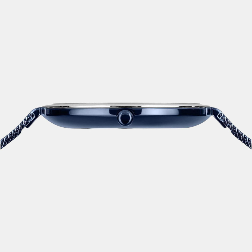 Bering Stainless Steel Blue watch