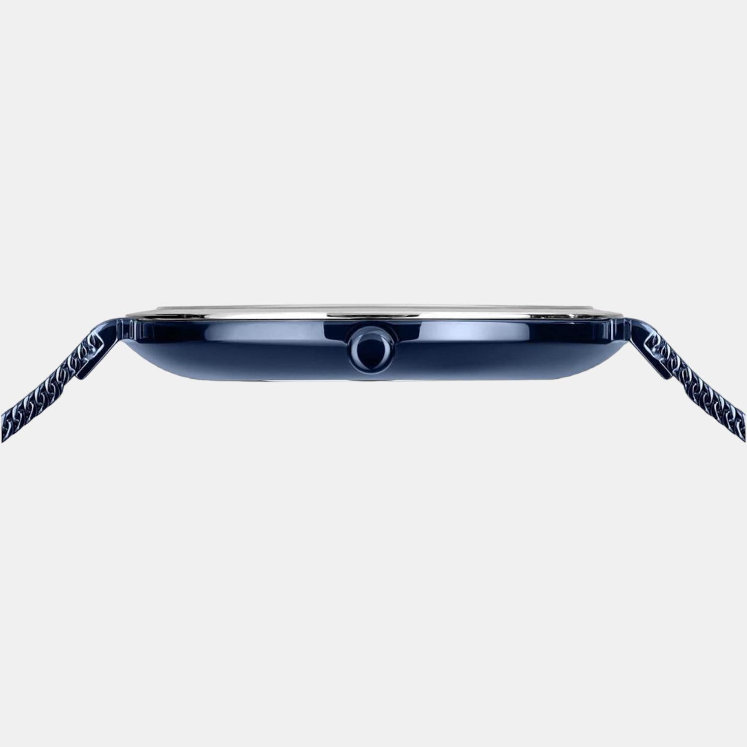 Bering Stainless Steel Blue watch