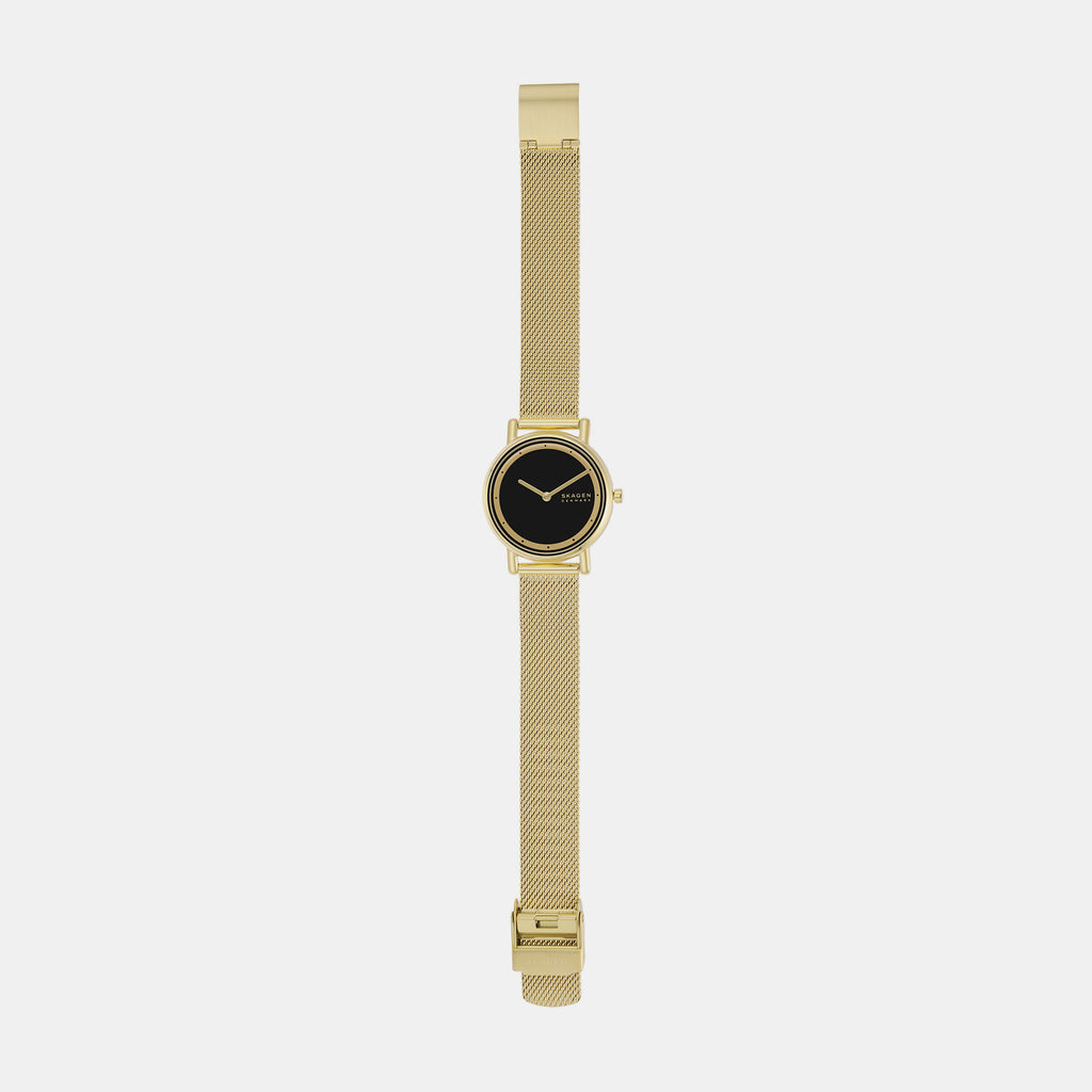 Skagen 30 mm Gold Quartz watch