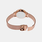 Fossil Stainless Steel Brown watch