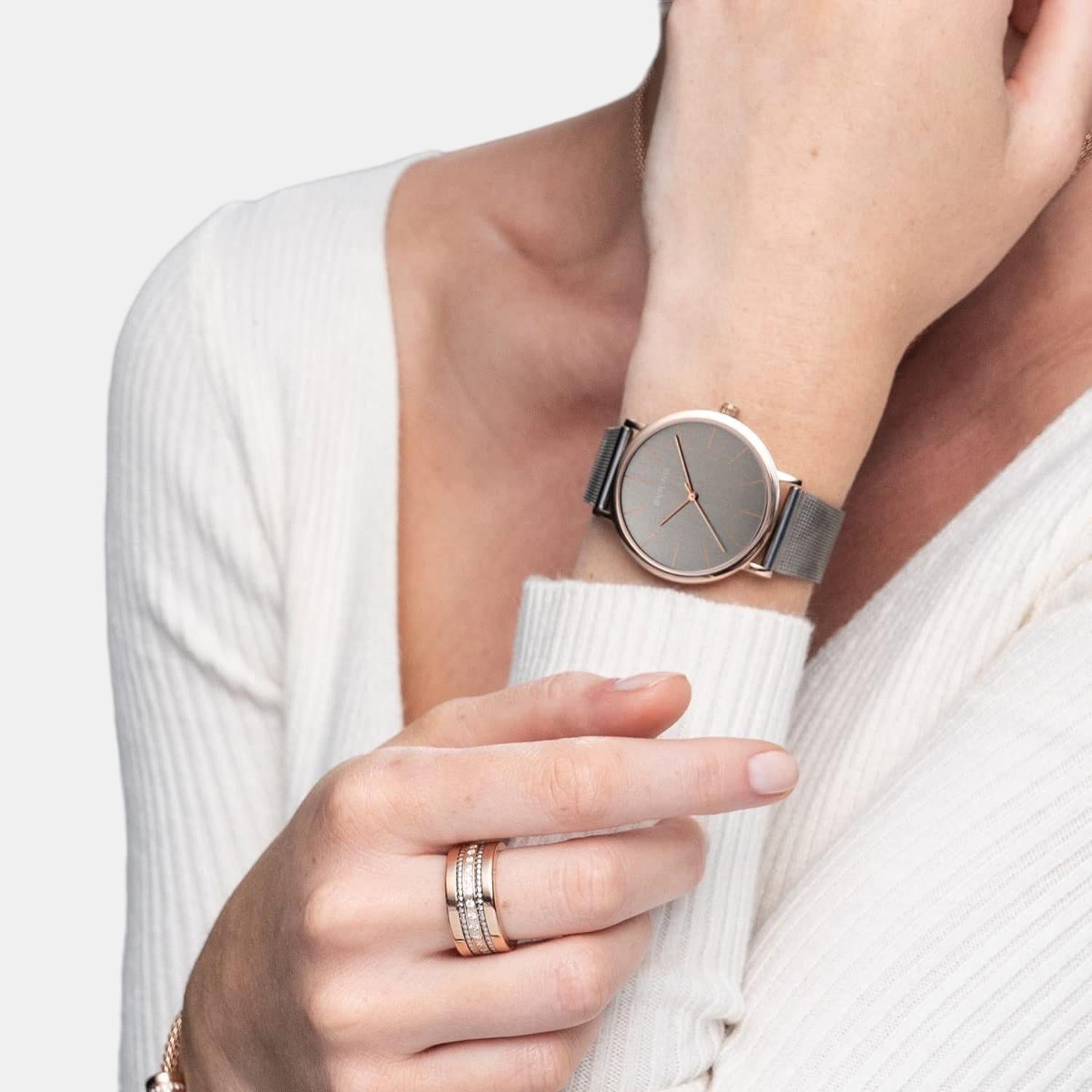 Bering Stainless Steel Grey watch