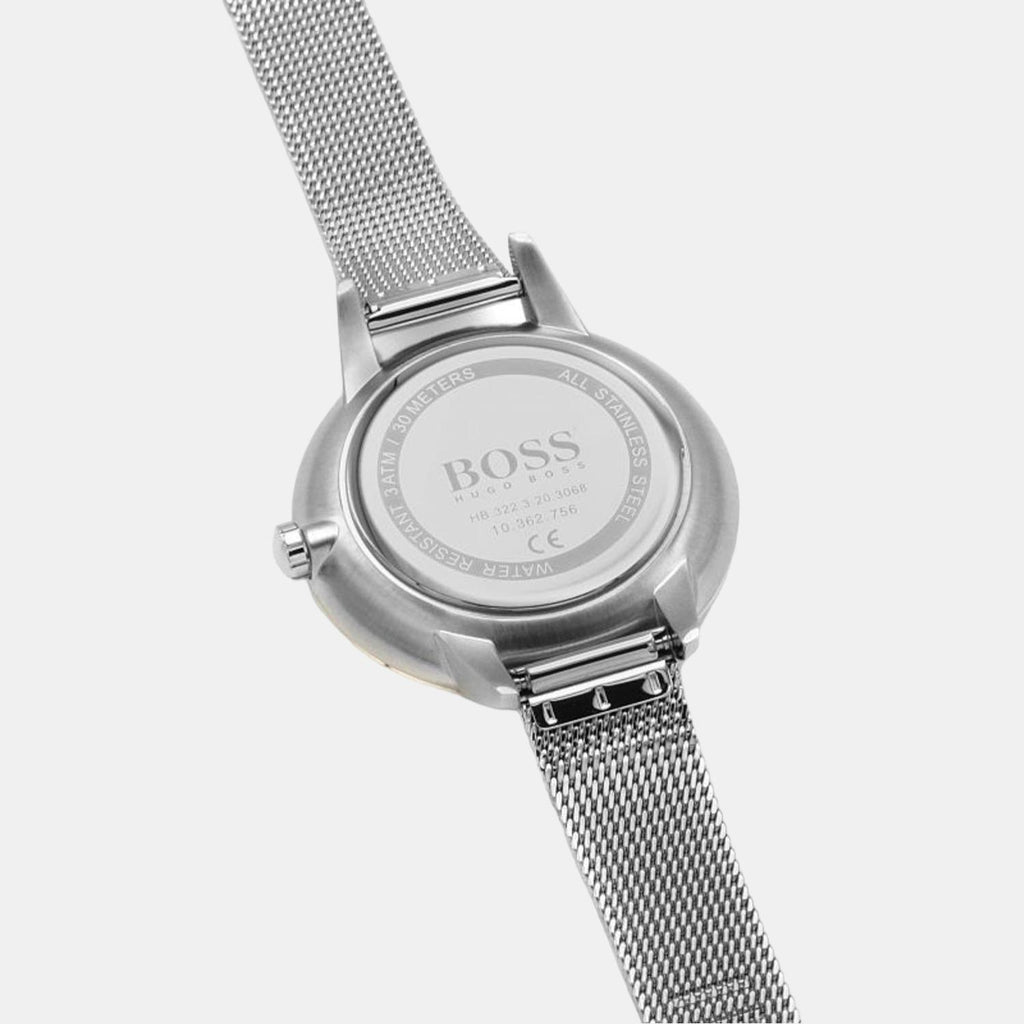 Boss Stainless Steel Brown watch