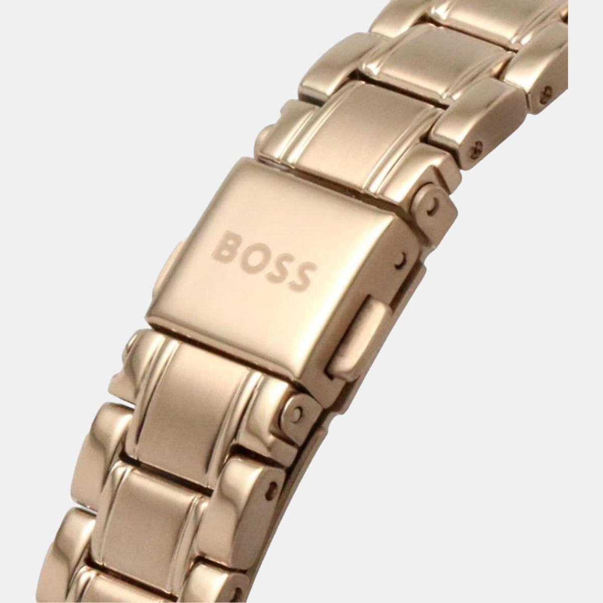 Boss Stainless Steel Brown watch
