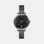 Female Analog Stainless Steel Watch TW041HL22