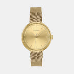 Boss Round Gold Analog watch