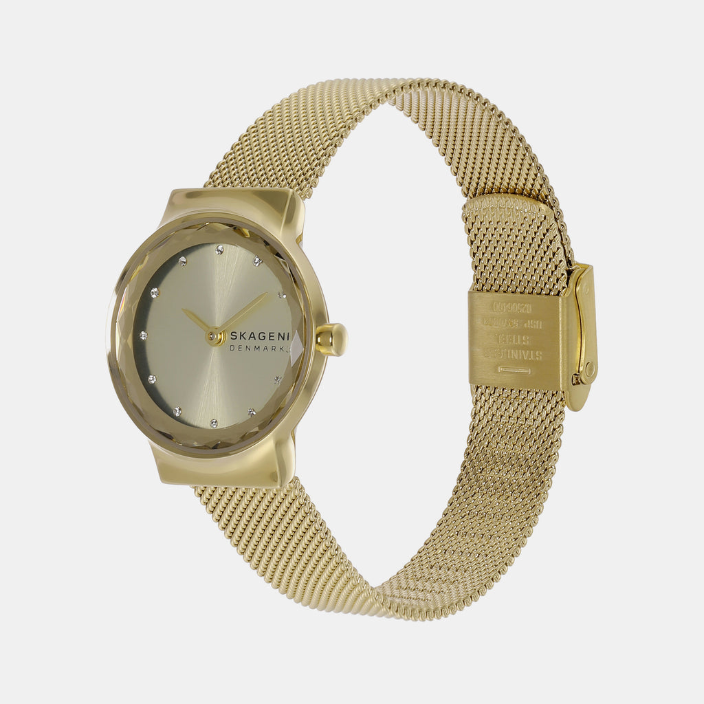 Skagen Women Round Gold watch
