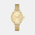 Boss Round Gold Analog watch