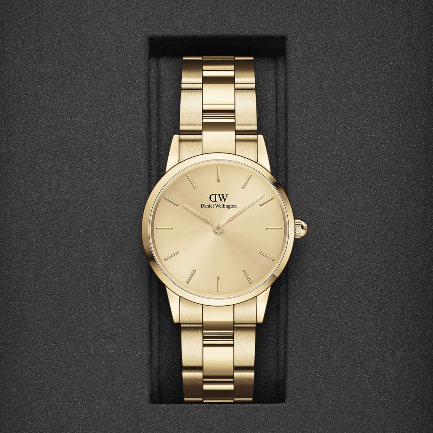 Iconic Women's Gold Analog Stainless Steel Watch DW00100403