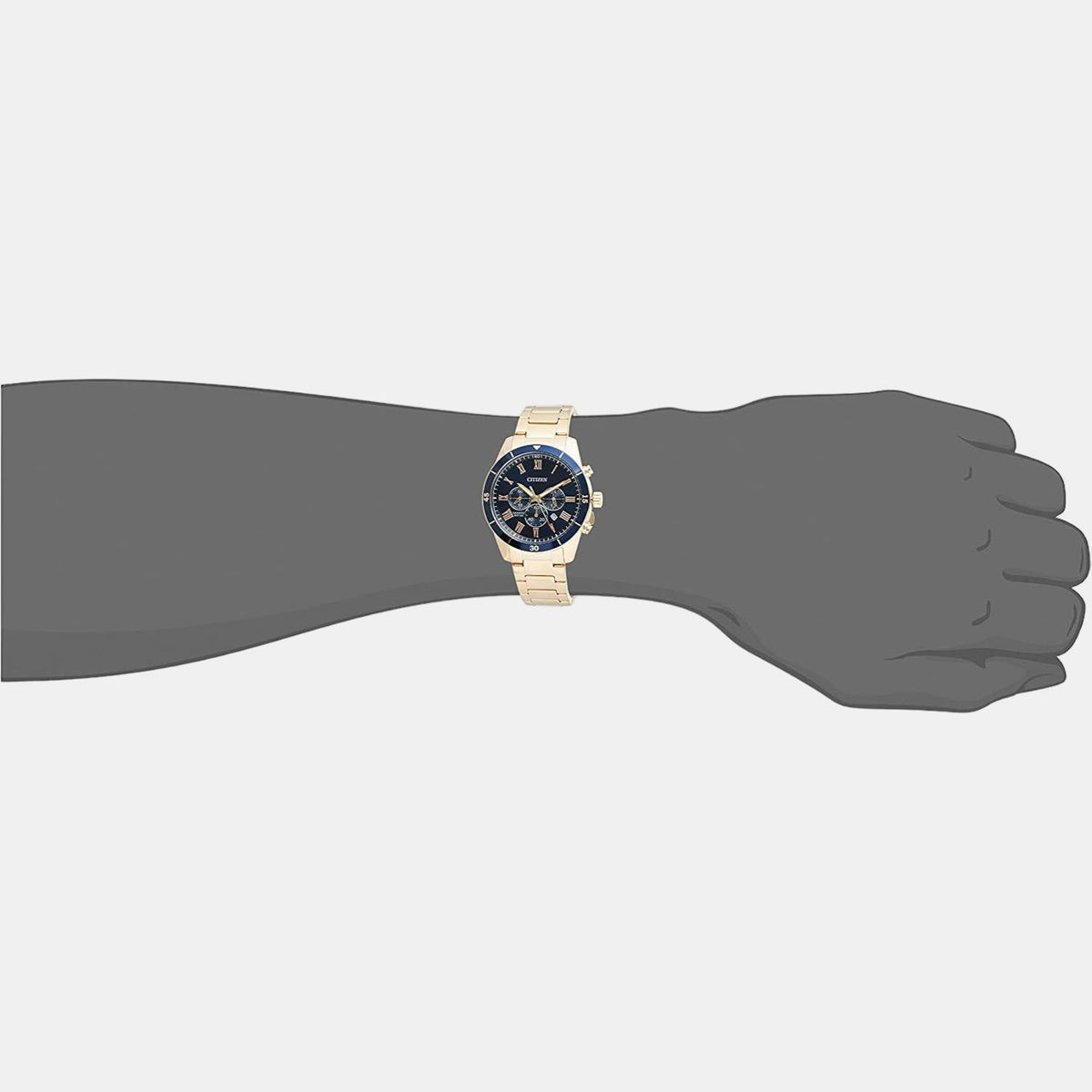 Citizen Stainless Steel Blue watch