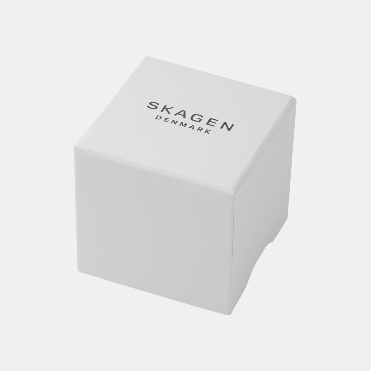 Skagen Stainless Steel Purple watch