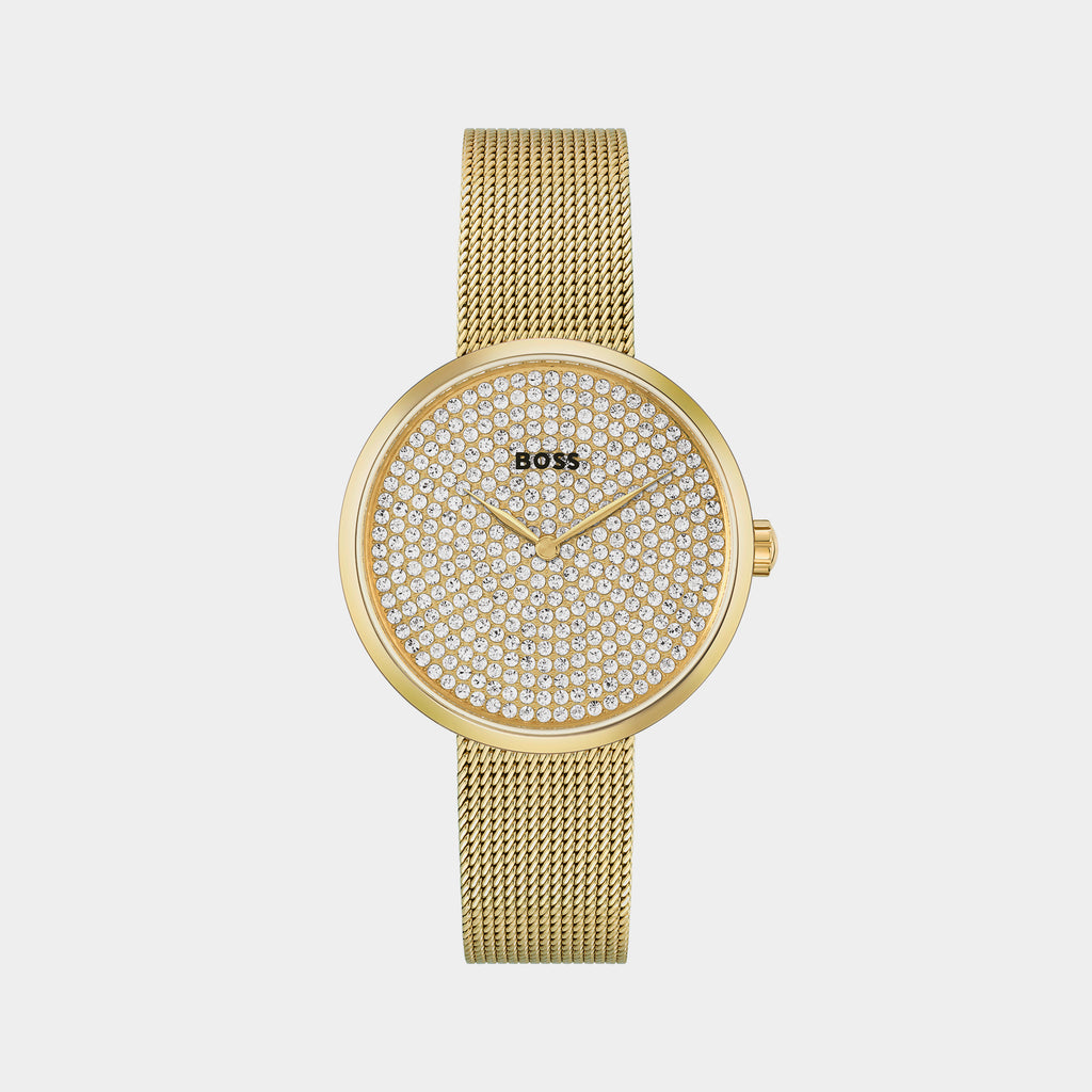 Boss Round Gold Analog watch