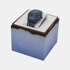 Skagen Plastic Blue watch