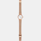 Skagen Women Round Silver watch