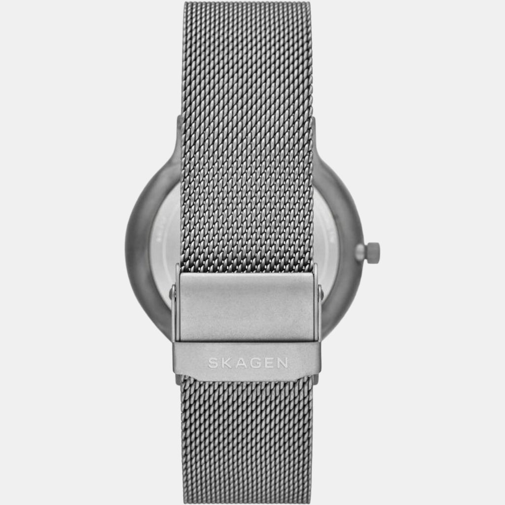 Skagen Men Round Grey watch