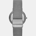Skagen Men Round Grey watch