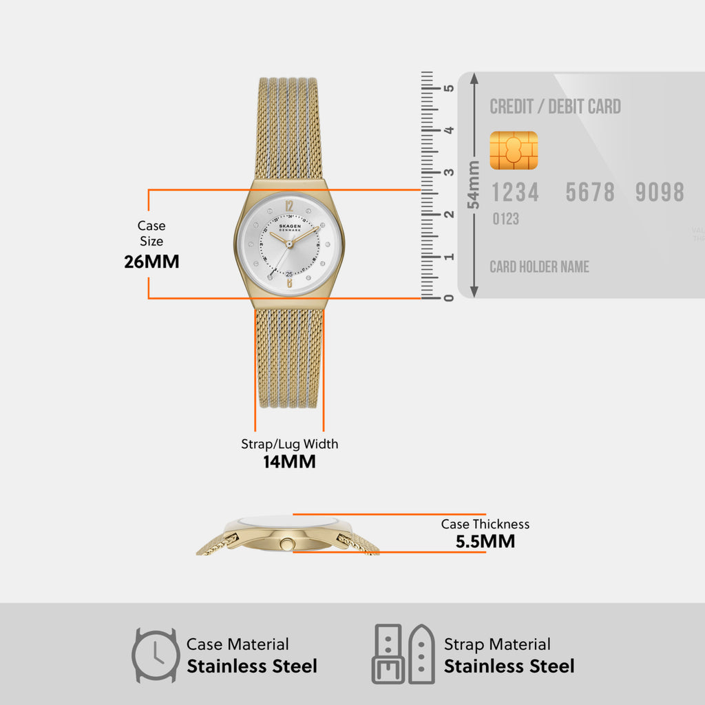 Skagen Stainless Steel Silver watch