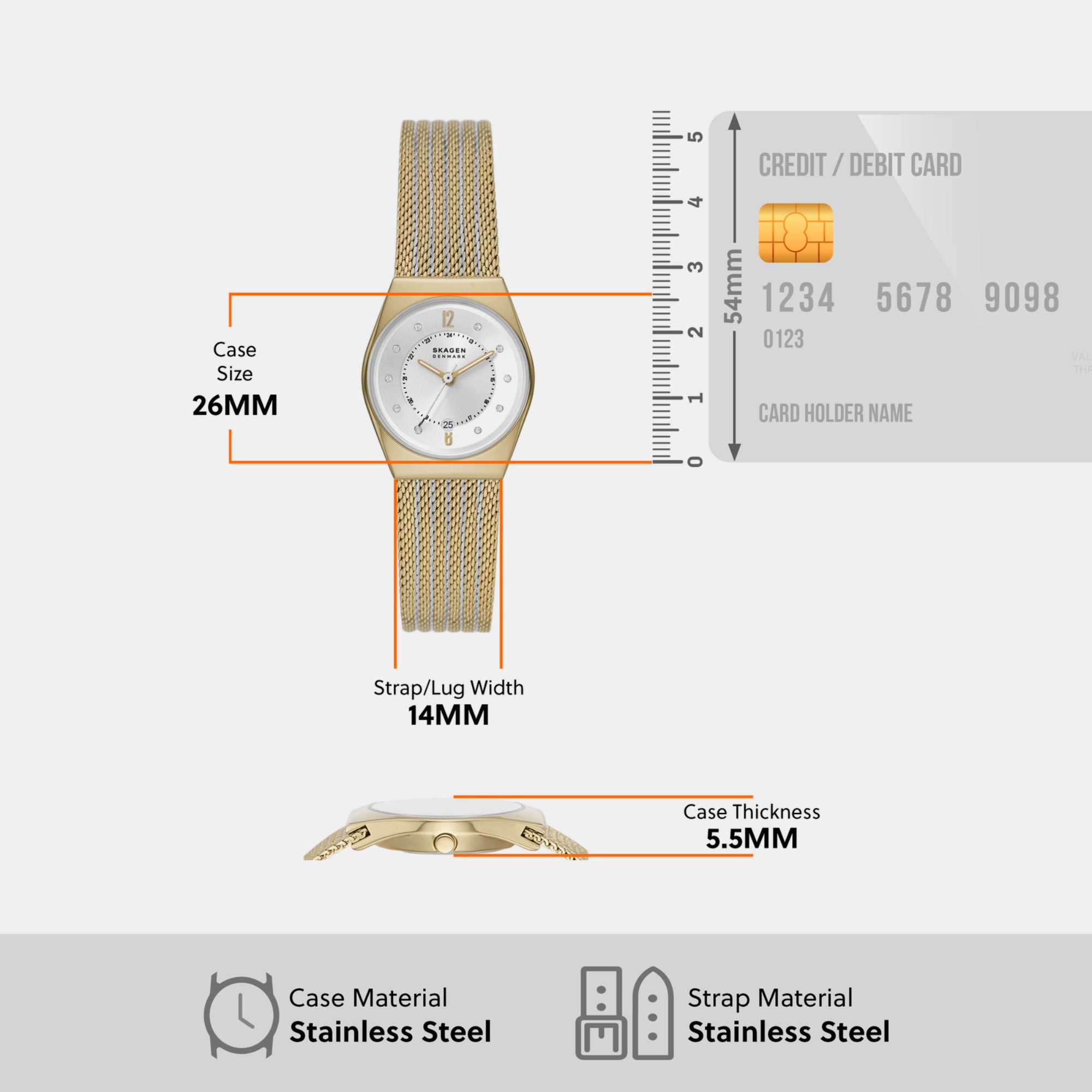 Skagen Stainless Steel Silver watch