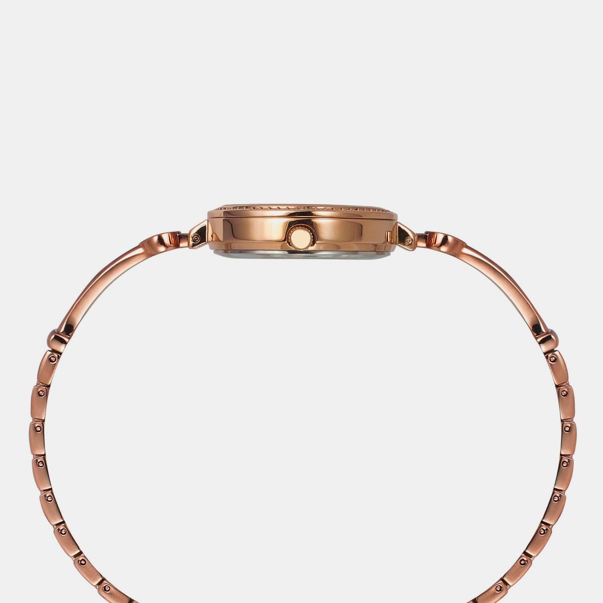 Timex Brass Brown watch