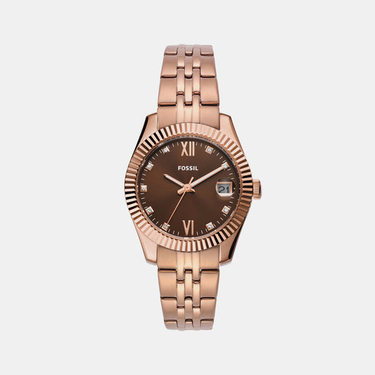 Female Brown Analog Stainless Steel Watch ES5324