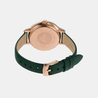 Emporio Armani Leather Green watch