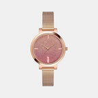 Female Analog Stainless Steel Watch TW041HL21