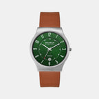 Skagen Round Green Analog watch