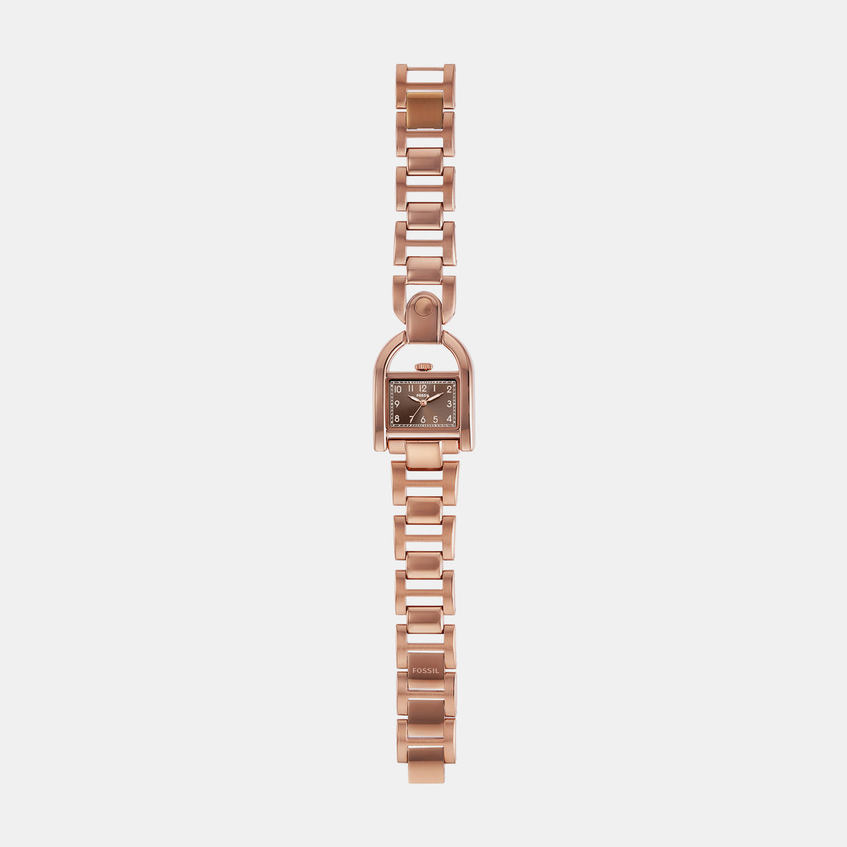 Harwell Women Quartz Brown Dial Analog Stainless Steel Watch ES5328