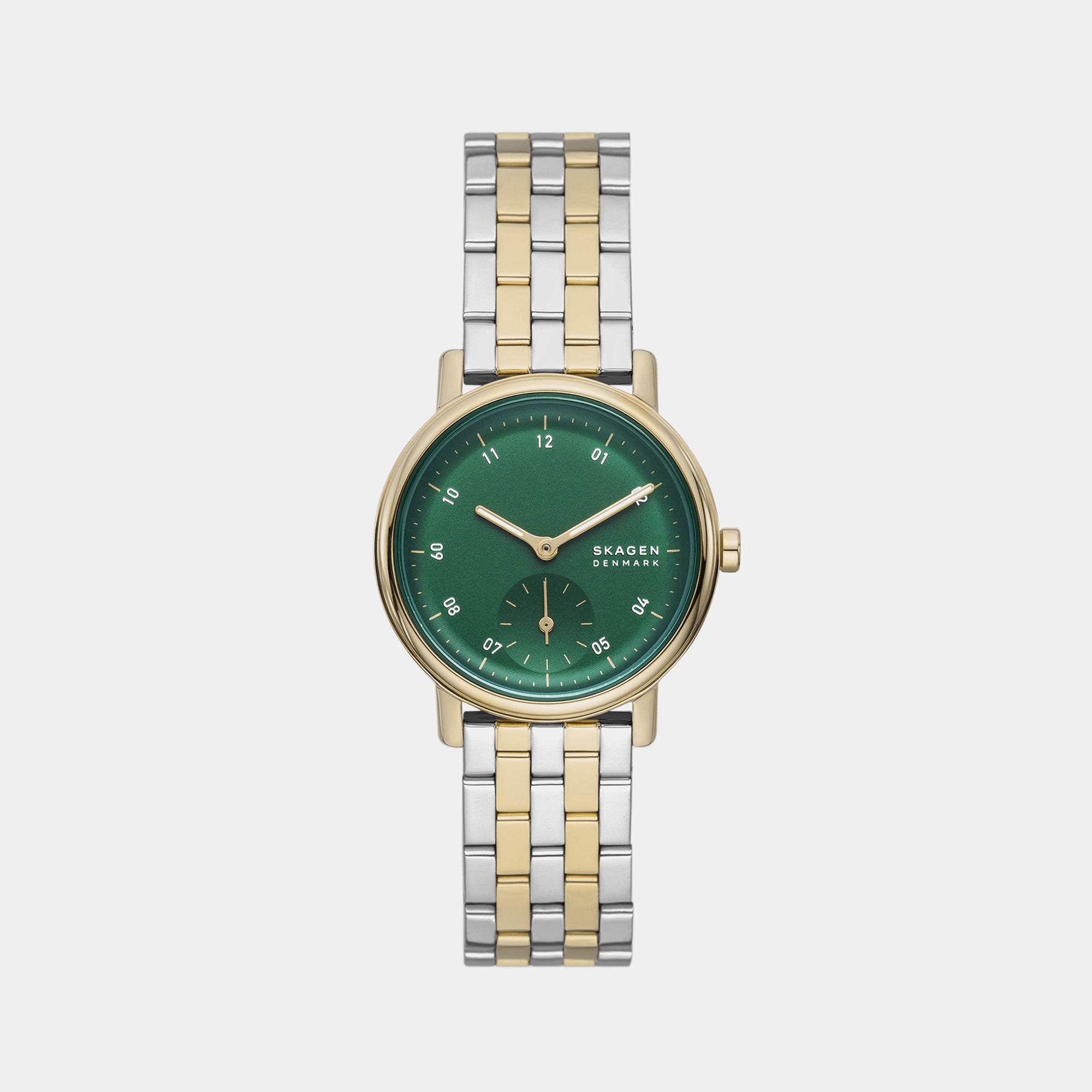 Skagen Round Green Analog watch