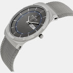 Skagen Titanium Round watch