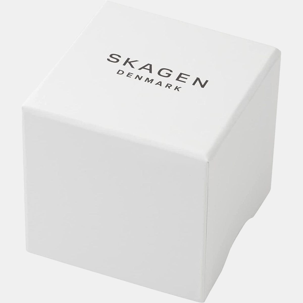 Skagen Stainless Steel Grey watch