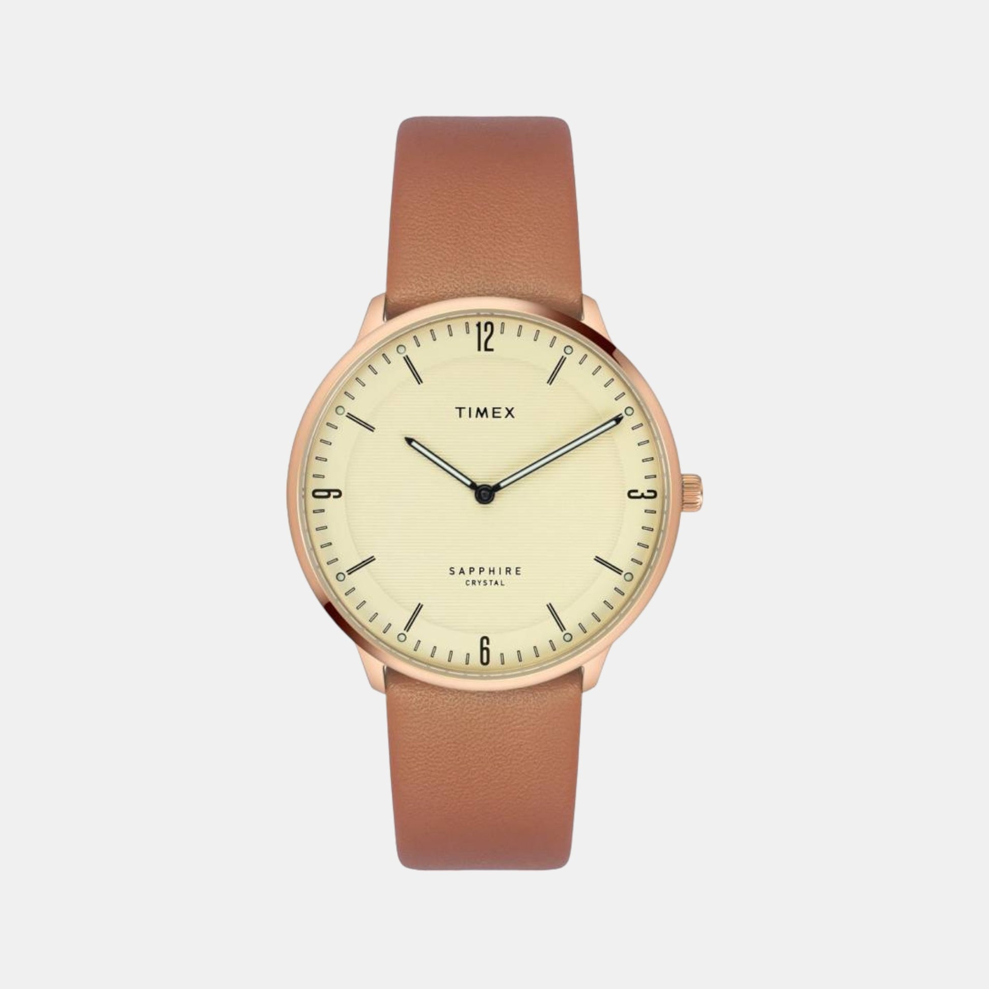 Male Analog Leather Watch TWEG22101