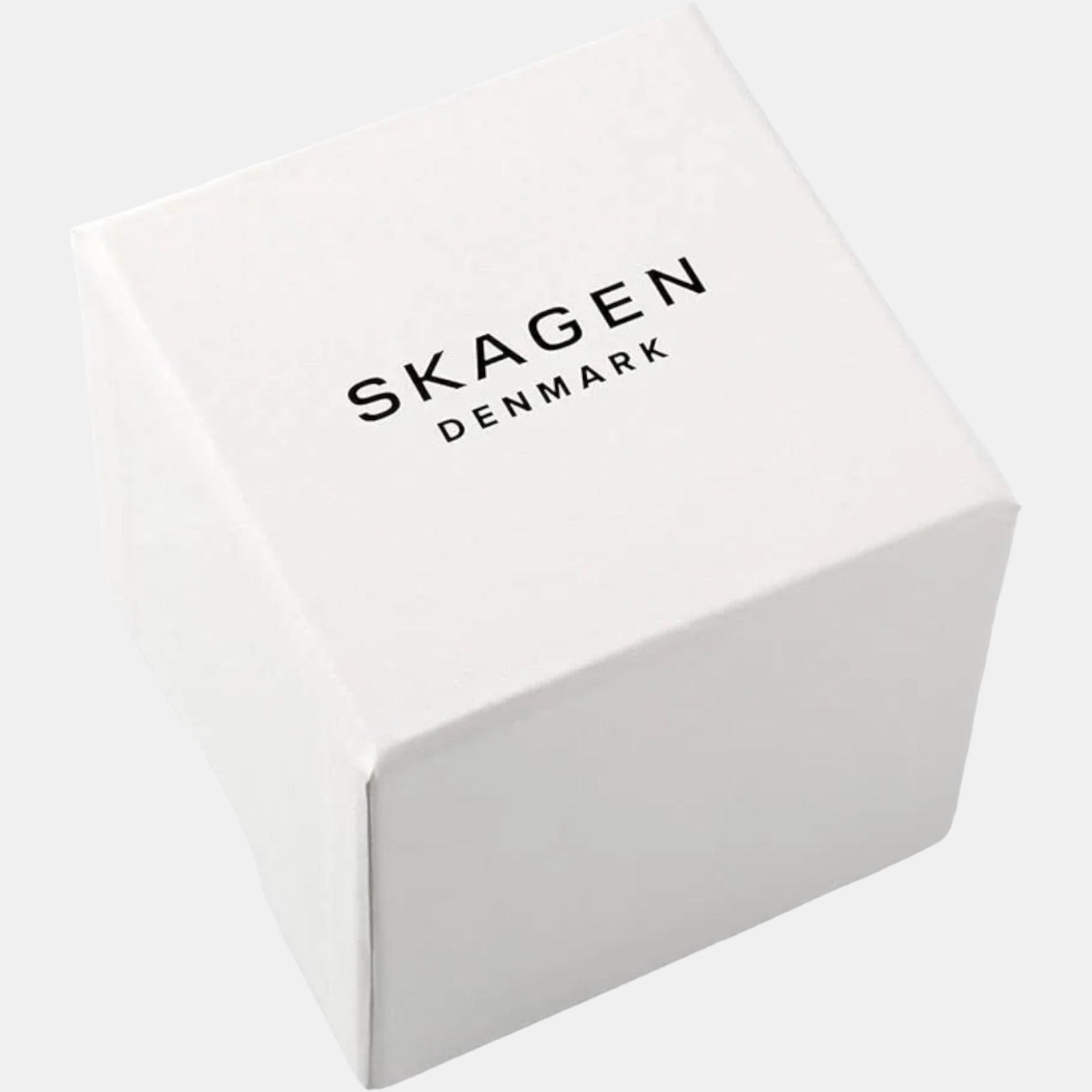 Skagen 26 mm Silver Quartz watch