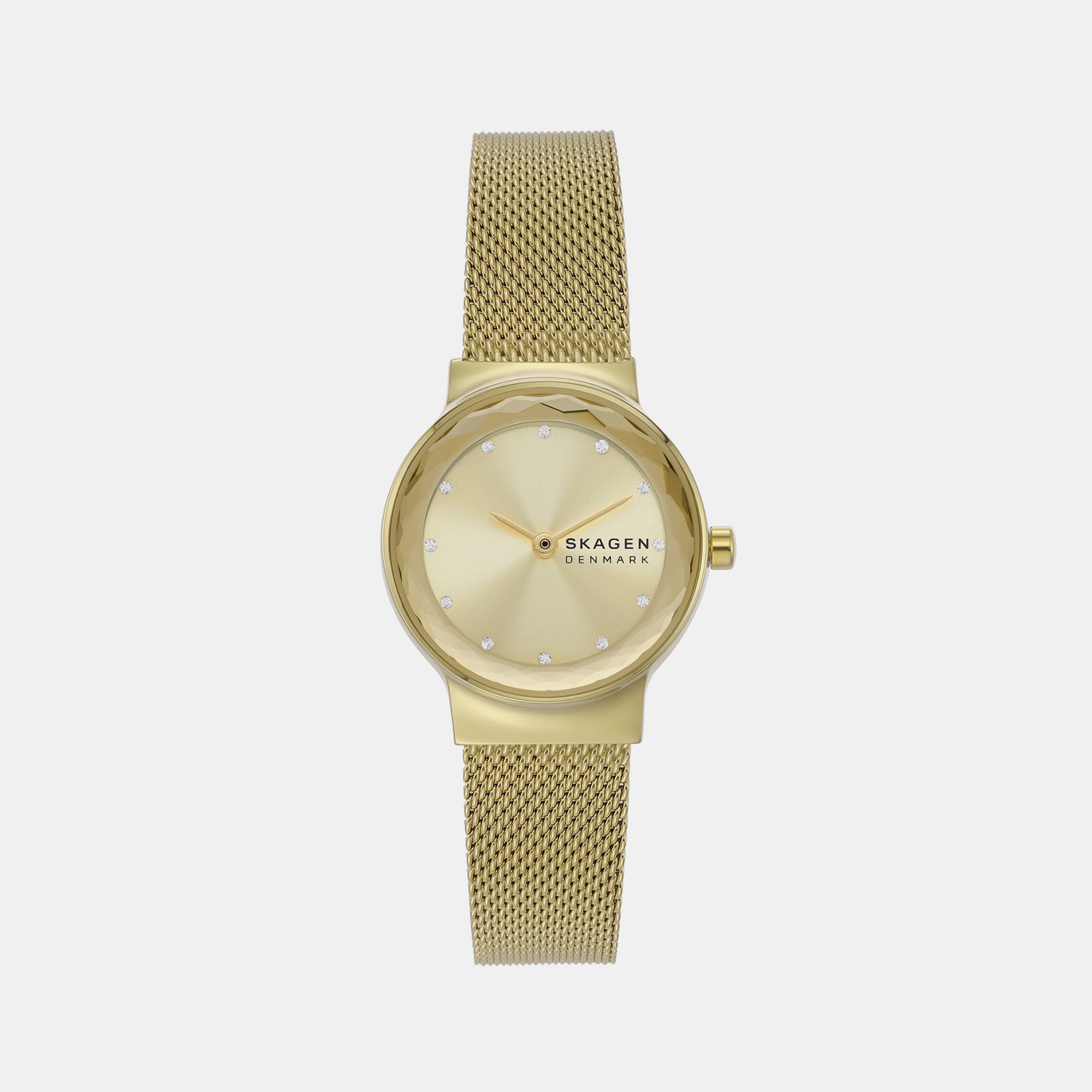 Skagen Round Gold Analog watch
