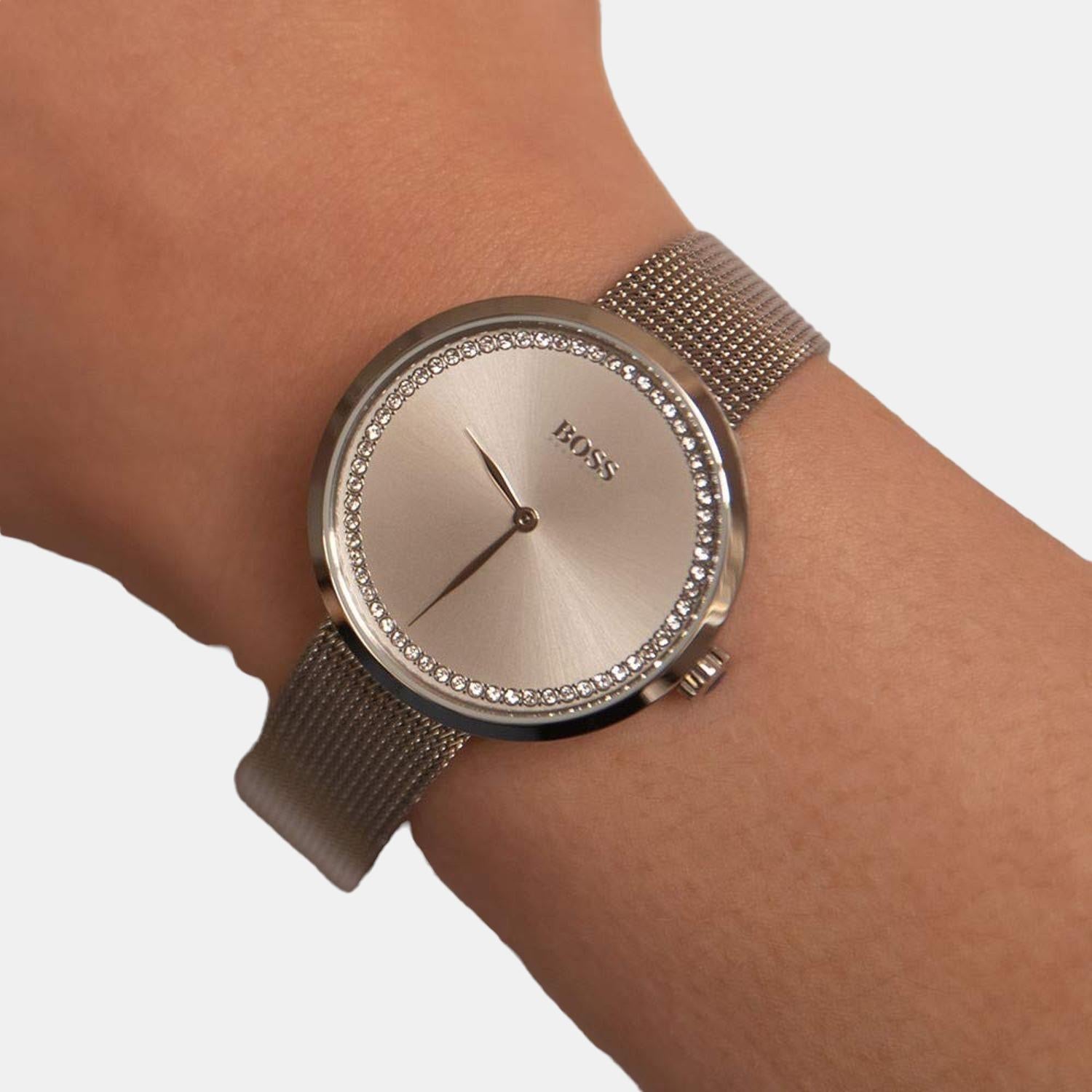 Boss Stainless Steel Silver watch