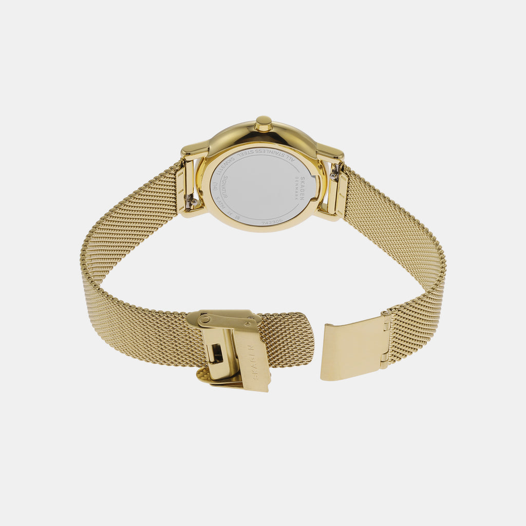 Skagen Stainless Steel Round watch