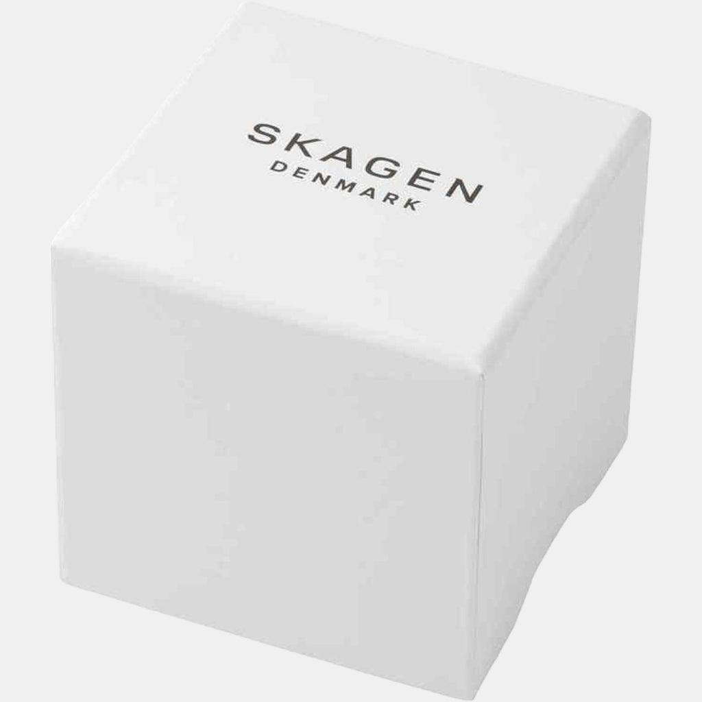 Skagen Stainless Steel Black watch