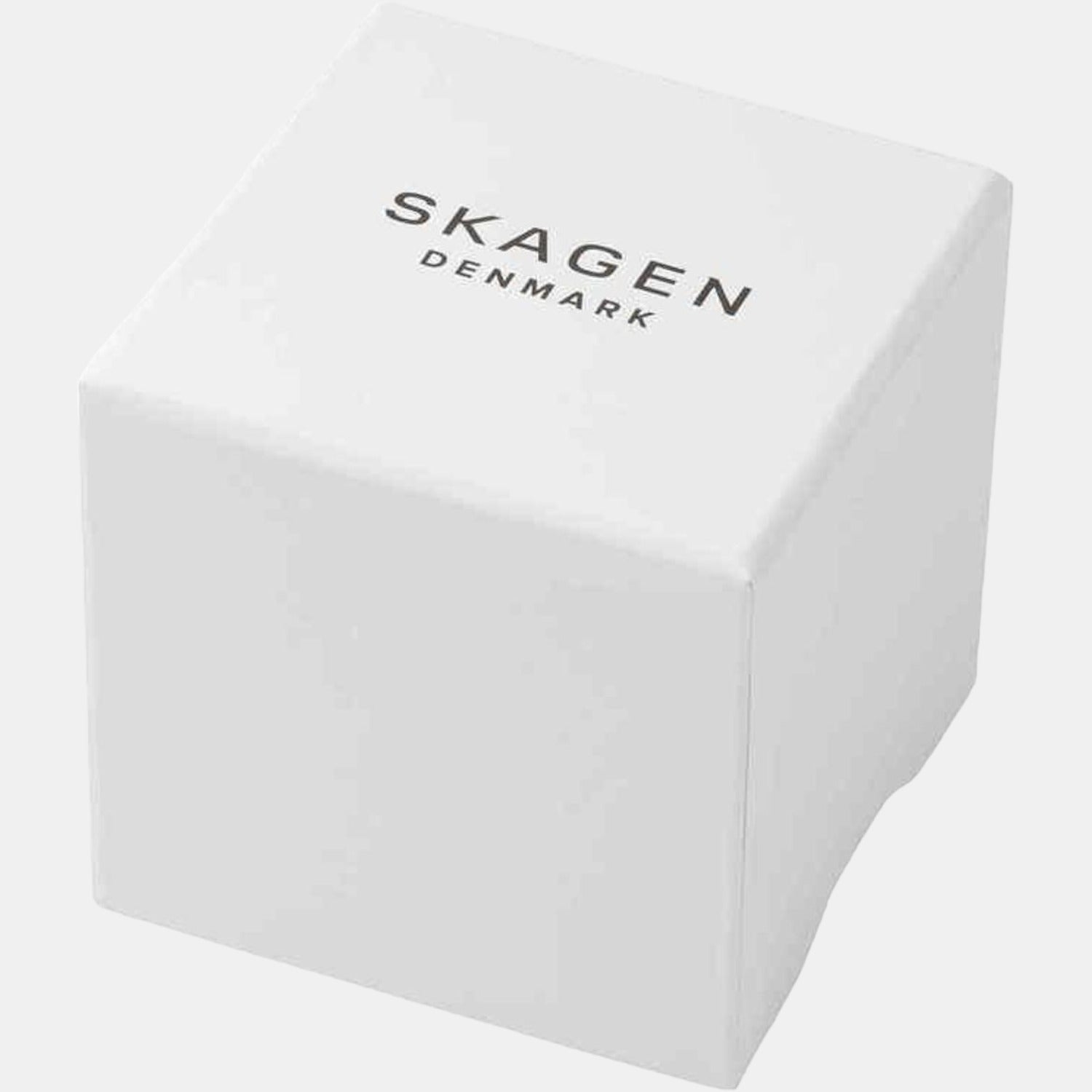 Skagen Stainless Steel Black watch