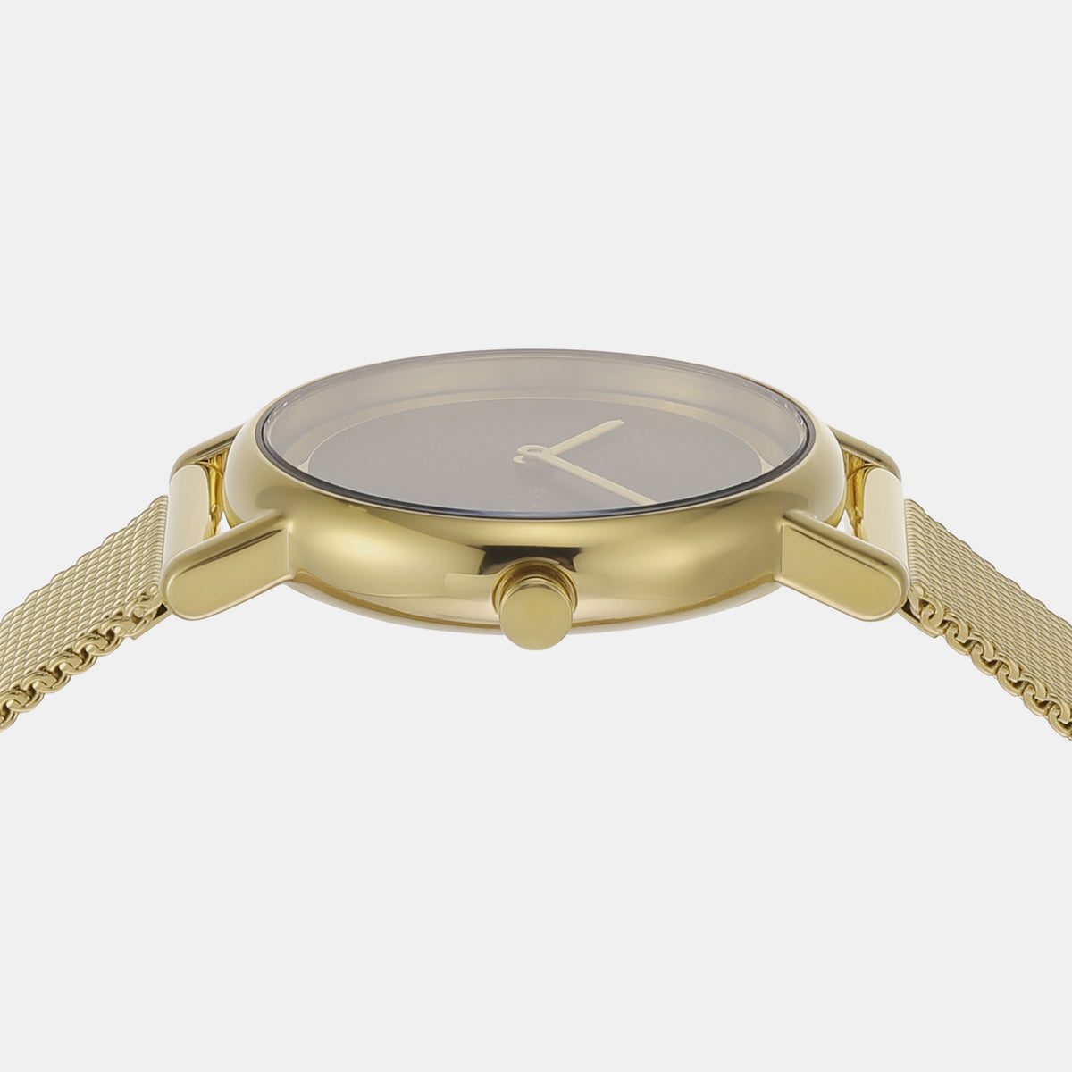 Skagen Mesh Black watch