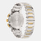 Male Silver Chronograph Stainless Steel Watch VEZ900321