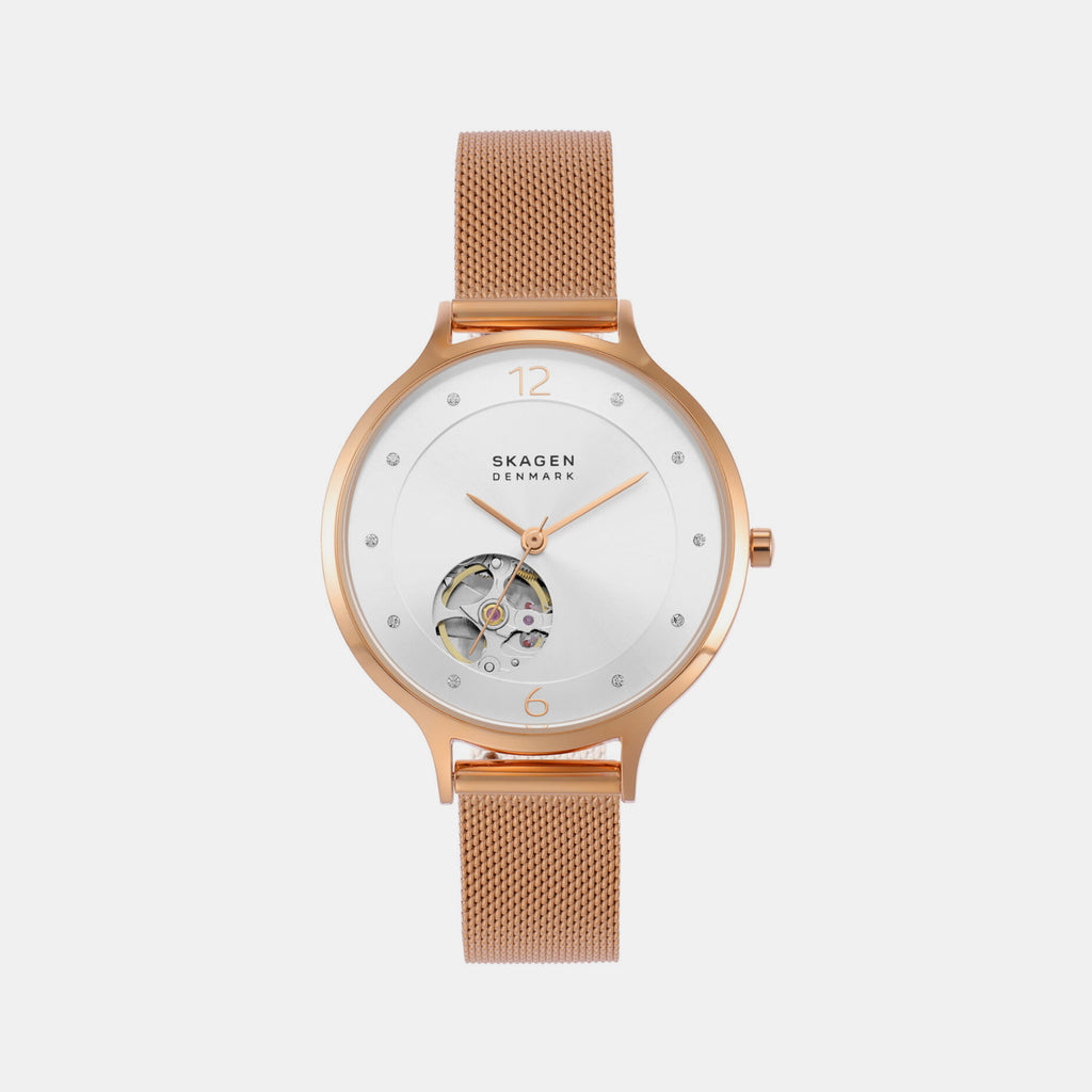 Skagen Round Silver Analog watch