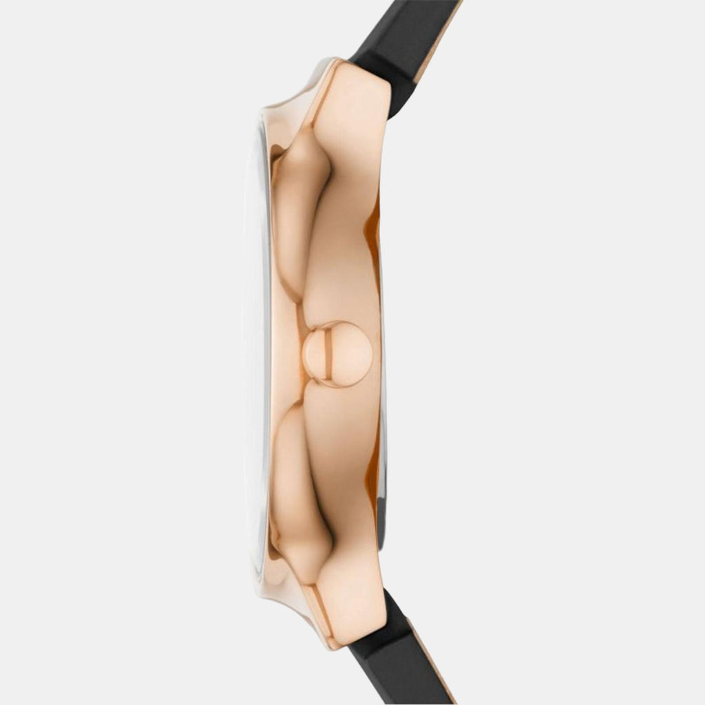 Skagen Stainless Steel Round watch