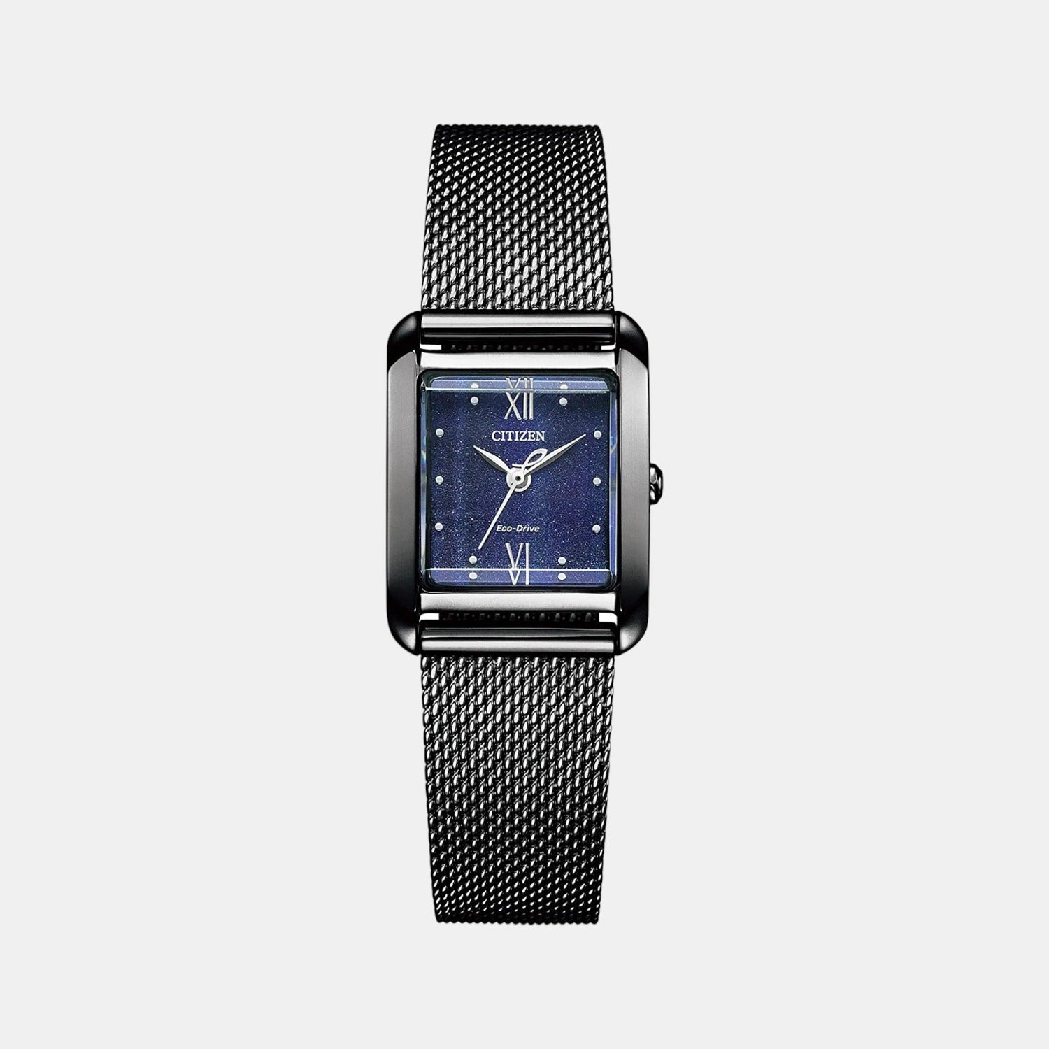 Citizen Round Blue Analog watch