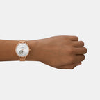 Skagen Women Round Silver watch