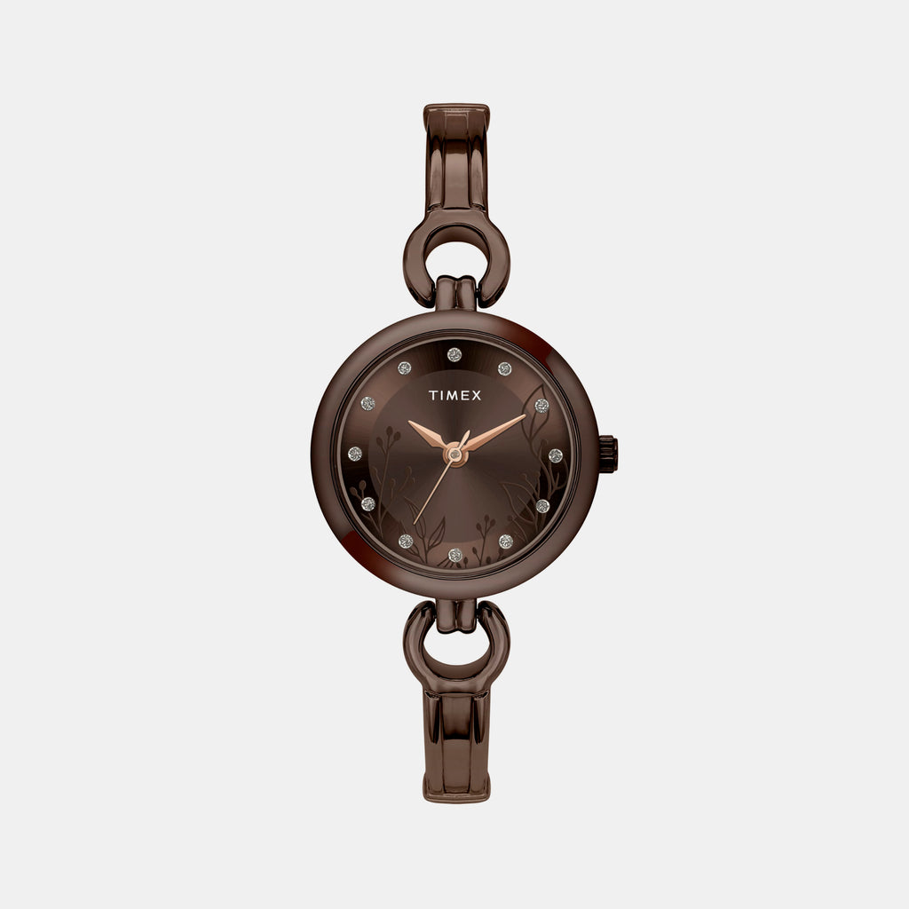 Timex Round Brown Analog watch